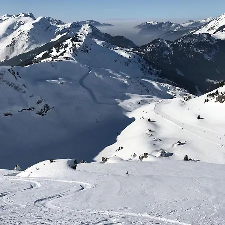 Le Roitelet Otel Châtel