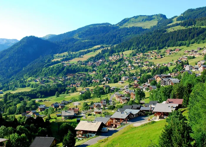 Le Roitelet 2* Châtel