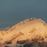 Le Roitelet Châtel