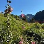 Отель Le Roitelet 2*