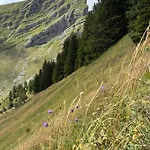 Le Roitelet Шатель
