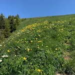 Le Roitelet Отель 2*