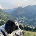 Le Roitelet Отель