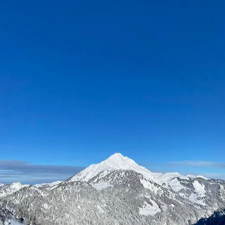 Le Roitelet Hotel Châtel