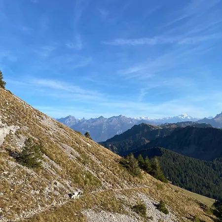 Le Roitelet