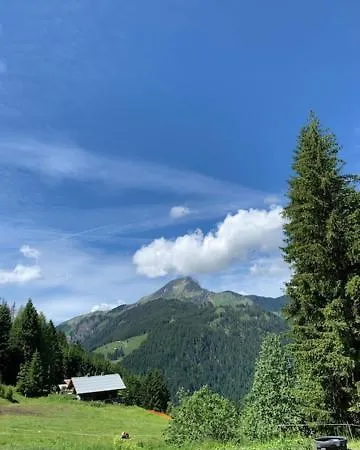 Le Roitelet Hotel Chatel