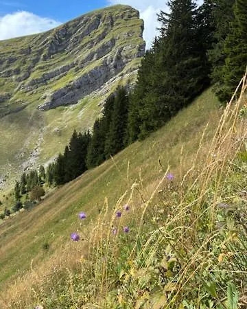 Le Roitelet Шатель