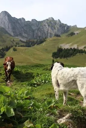 Le Roitelet Шатель