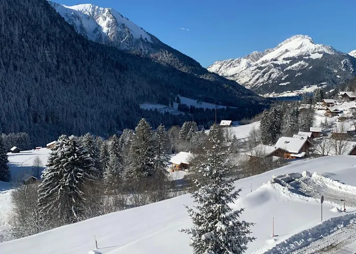 Le Roitelet 2* Châtel